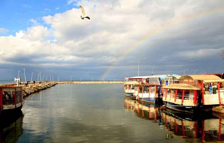 Yalova çiftlikköy taksi