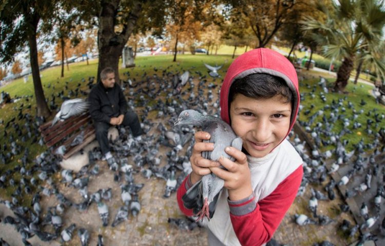 Sahil Taksi Yalova
