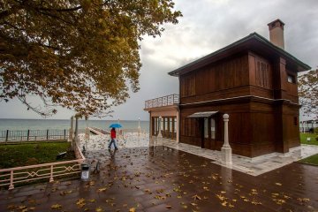 Blog